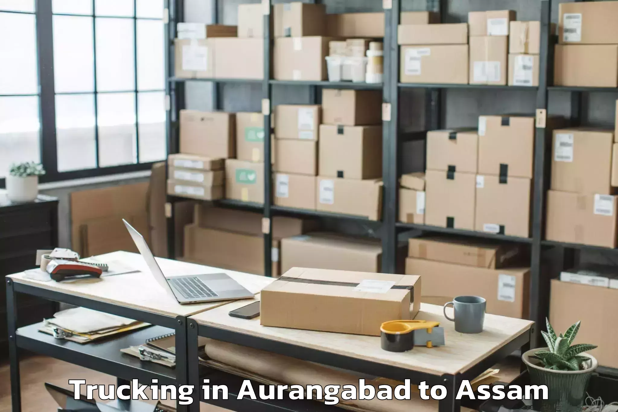 Quality Aurangabad to Bajali Trucking